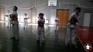 кекусинкай каратэ для школьников (2)